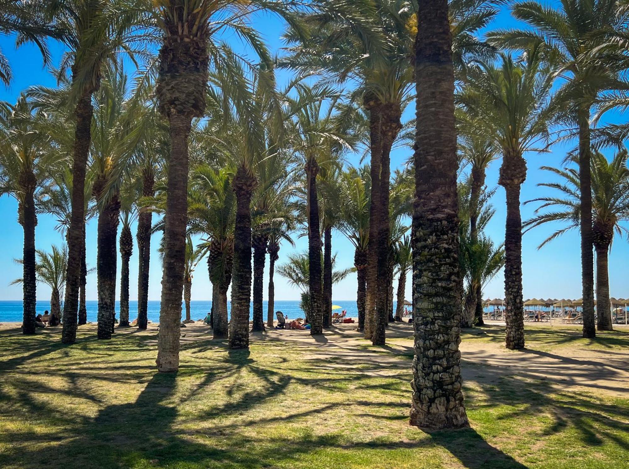 Sunsands Studio 1ºb Playa76 Carihuela Τορρεμολίνος Εξωτερικό φωτογραφία